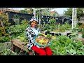 Tiny Space, Big Harvest | Growing Food in a Small Garden