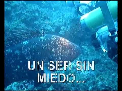 Oceanos con futuro