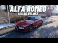 Alfa Romeo Giulia Veloce - Nu vorbi(despre ALFA) fara sa stii, nu hali mereu ce auzi de la altii