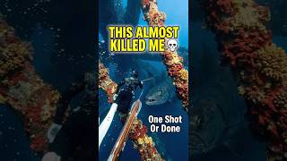 One diver One shot Everything was perfect—until a massive shadow moved in from the deep #fish