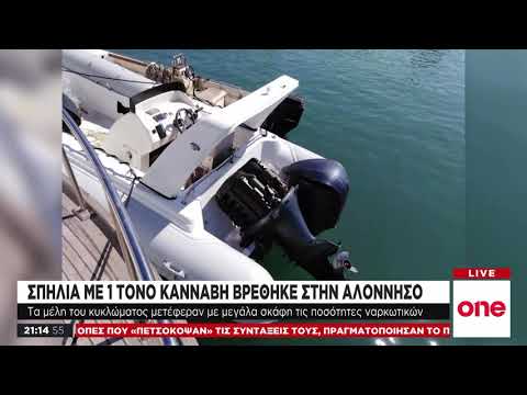 Βίντεο: Τηλεσκοπικοί βύσματα: επισκόπηση υδραυλικής φιάλης, χαμηλά μηχανικά μοντέλα σε 2 και 5 τόνους. Πώς να χρησιμοποιήσετε