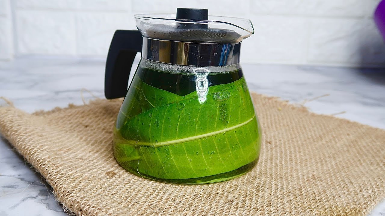 This happened when I started drinking MANGO LEAF Tea YouTube