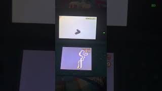 Mario Kart 7 Female Mii Voice 4 brownwhiteblack