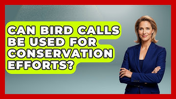 Can Bird Calls Be Used for Conservation Efforts? | Bird Watching Diaries