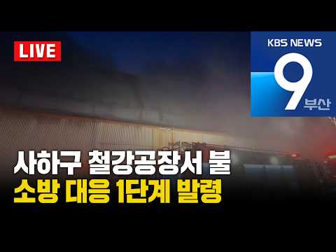 [LIVE] KBS 뉴스9 부산 - 2026.08.08(<strong>토</strong>)