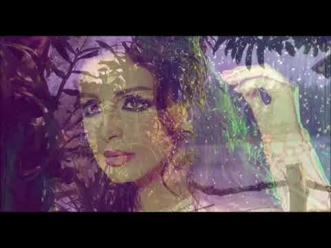 ساحرة القلوب الفنانة أنغام في الركن البعيد الهادي