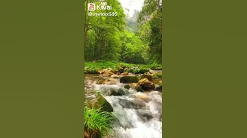سورة القدر لأول مرة بالمقام التهامي اليمني