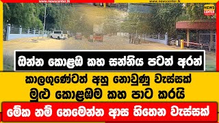 ඔන්න කොළඹ කහ සන්නිය පටන් අරන් | කාලගුණේටත් අහු නොවුණු වැස්සක් මුළු කොළඹම කහ පාට කරයි