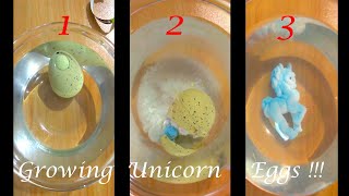 Magic Hatching Growing Unicorn Eggs!