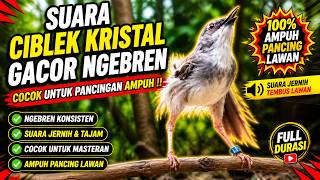 SUARA CIBLEK KRISTAL GACOR NGEBREN COCOK UNTUK PANCINGAN AMPUH‼️ #ciblekkristal