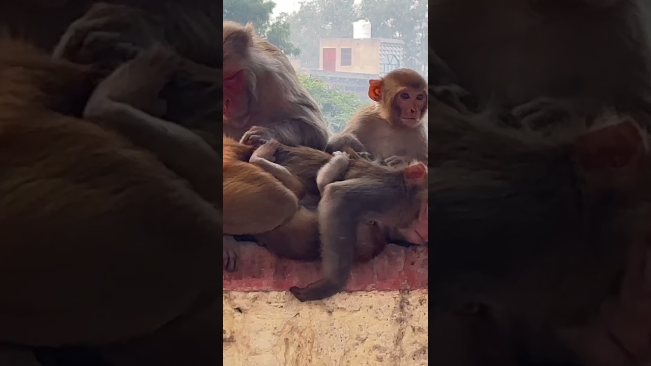 Still waiting in the train station…