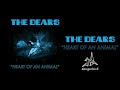 The Dears - Heart On An Animal
