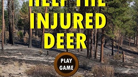 help the injured deer video walkthrough
