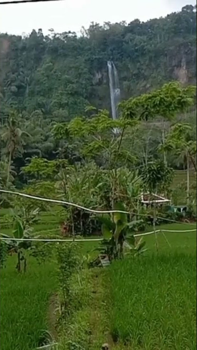 Suasana pedesaan lembur kuring cianjur
