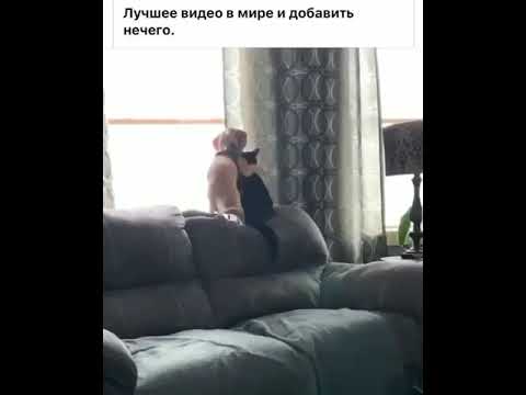 Great friendship