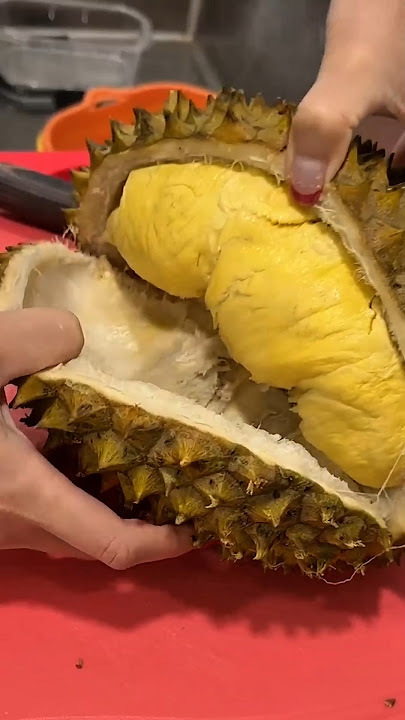 This is the reason why durian has a strong smell!! #trend #uniquefacts