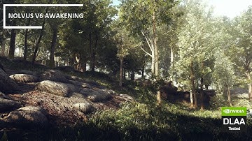 Remastering SKYRIM FOREST | 2024 - NOLVUS V6 AWAKENING ULTIMATE Mod List - DLAA - COMPLEX PARALLAX