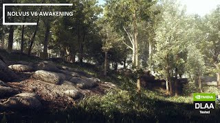 Remastering SKYRIM FOREST | 2024 - NOLVUS V6 AWAKENING ULTIMATE Mod List - DLAA - COMPLEX PARALLAX