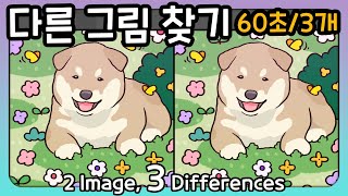 다른 그림 찾기 -60초 안에 다른 그림 3개를 찾아보세요-