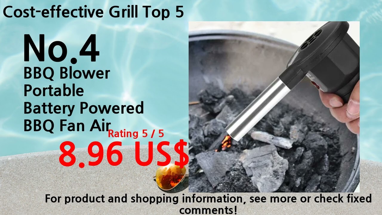2024 Best Budget Grill Ranking