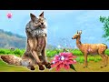 चालाक भेड़िया बन गया बूढ़ा और जादुई फूल Bhediya Ho Gaya Buddha and Magical Flower Wolf Story in Hind