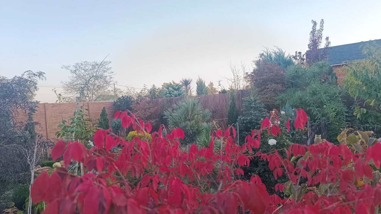 Оформлюємо майбутній міні-ставочок в природний стиль з імітацією каміння.