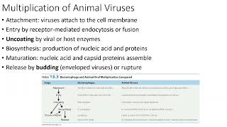 Replication of Animal Viruses Part 1: Attachment, Entry, and Uncoating