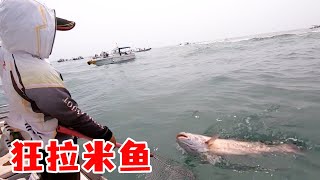 Ajie's sea fishing went up and down  and the giant was cut off  so 1000 yuan was gone [Islander Aji