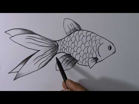 5 Dakikada Balık Resmi Nasıl çizilir?- How to Draw Fish Picture in 5 Minutes?
