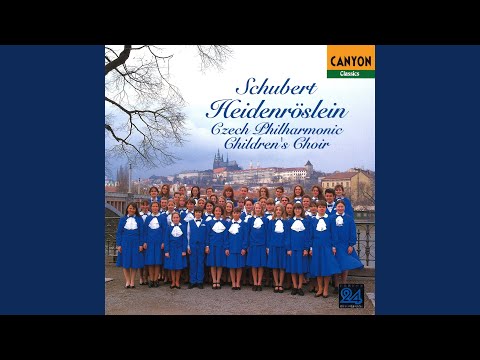 Смотреть «ドヴォルザーク:モラヴィア二重奏曲 作品38;4.悲しみ» на YouTube