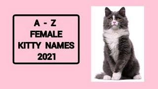 A  Z Girl Cat Names 2021 | 26 Name Suggestions 2021