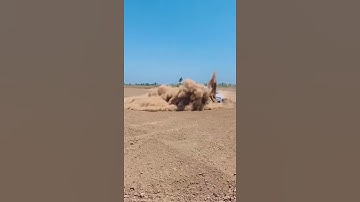 #9 All New Swift Dzire Stunt Video #shorts