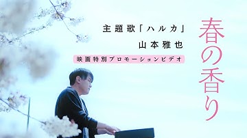 映画『春の香り』主題歌「ハルカ」MV(ミュージックビデオ)  山本雅也 映画本編バージョン
