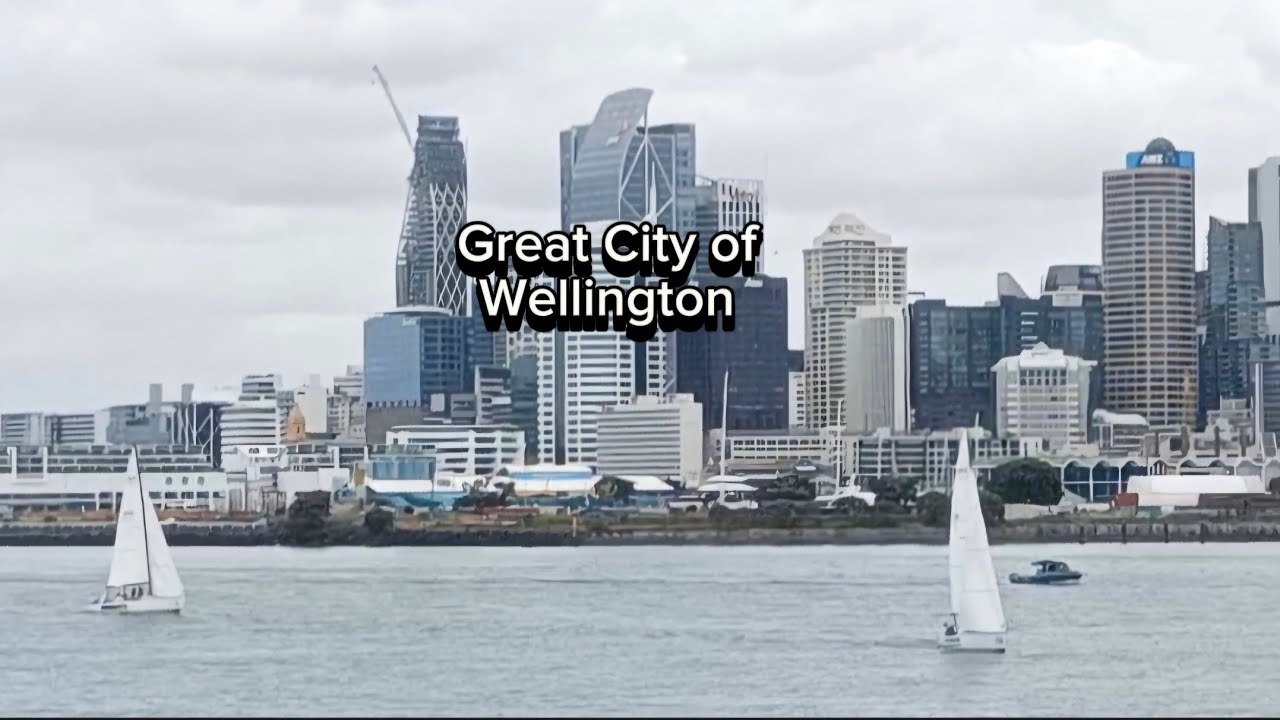 greatest City view while Cruising at Wellington - YouTube