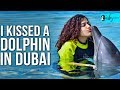 Cuddle & Swim With Dolphins At Atlantis’ Aquaventure Waterpark | Curly Tales