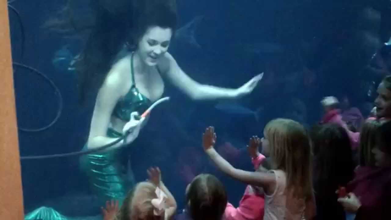 Weeki Wachee Springs Mermaids In Charleston YouTube