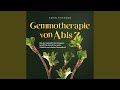 Kapitel 91 - Gemmotherapie von A bis Z: Mit der Heilkraft der Knospen Schritt für Schritt zu...