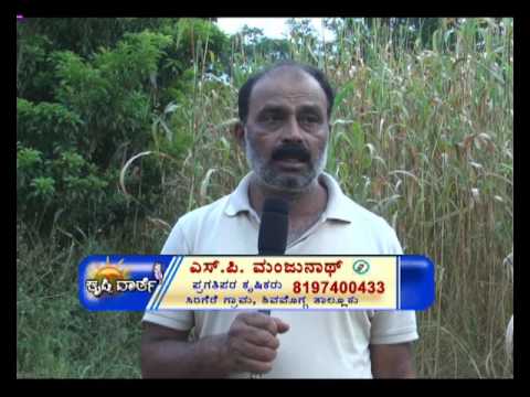 Krishi Varthe 25 1 17 chandanagar hyderabad