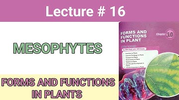 MESOPHYTES || Osmoregulation In Plants