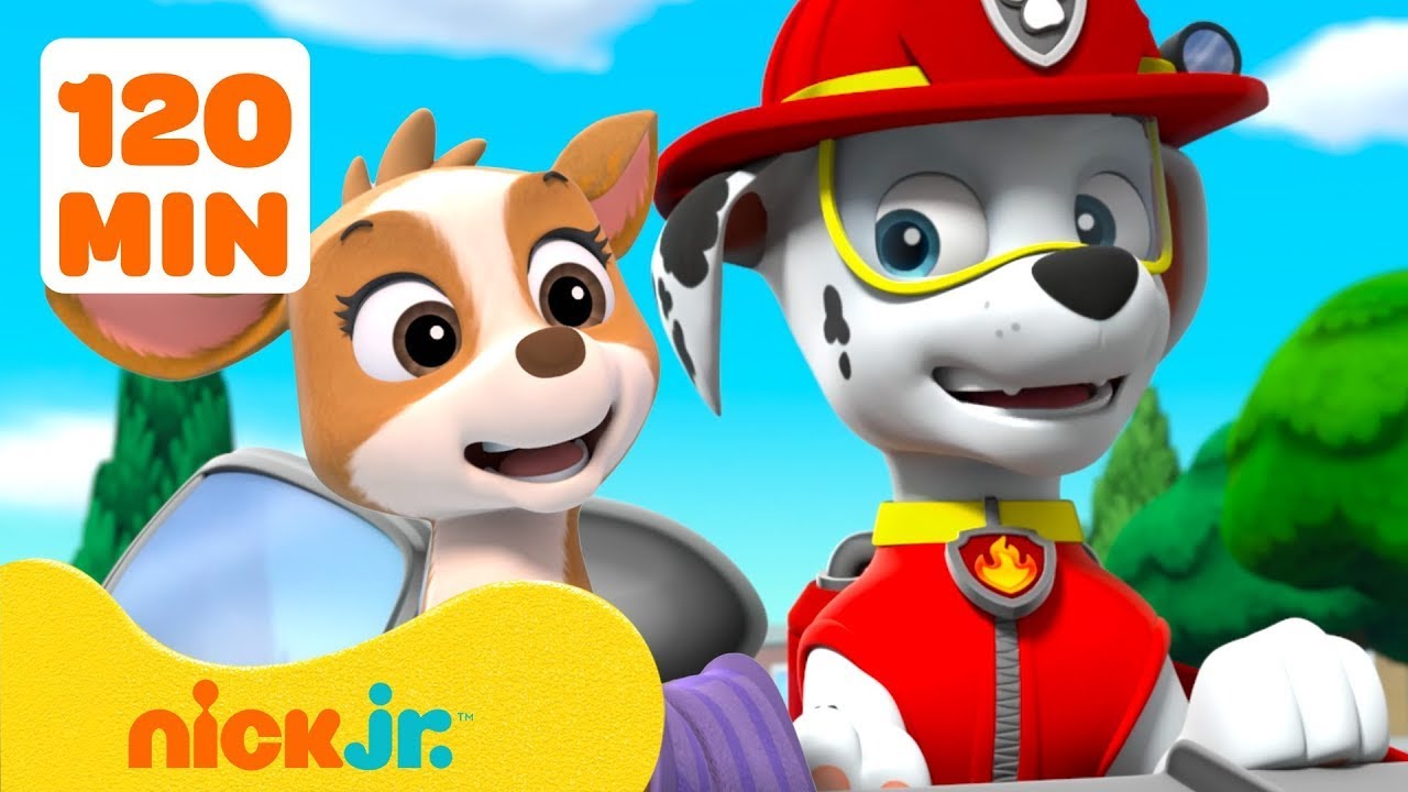 Psi Patrol: Maluchy w potrzebie! 🦌 120 minut z Marshallem #6 | Nick Jr. Polska