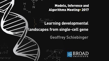 MIA: Geoffrey Schiebinger, Learning developmental landscapes with optimal transport; Lénaïc Chizat