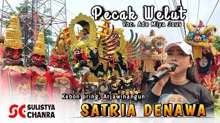 PECAK WELUT singa dangdut SATRIA DENAWA - Kebon pring Arjawinangun