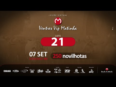 LOTE 21