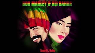 Bob Marley & Ali Bahar REMIX COVER
