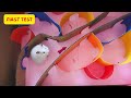 🐹With three different passages, will the little hamster choose the fastest one to get out?