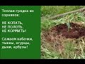 ТЕПЛЫЕ ГРЯДКИ из сорняков по целине! Кабачки, Тыквы просто!