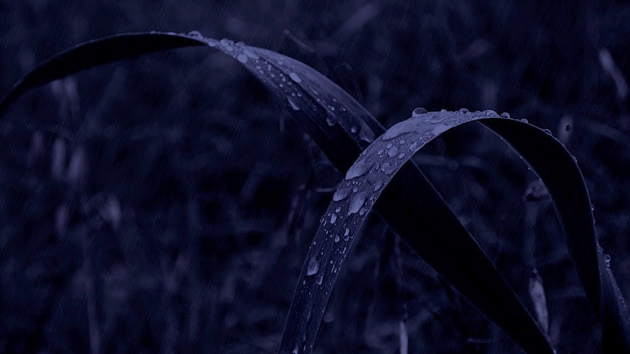 6 часов дождь. Ливень в городе. 6 часов дождь. Музыка для сна дождь. Шум дождя для сна релаксация.