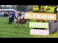 Blenheim Horse show