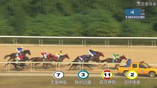 20171118 4YO+ Stakes 1800m (Race 4) 玉龙国际赛马公开赛D19 第4场4岁及以上马锦标赛 1800米