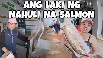 ANG LAKI NG NAKUHANG SALMON | DUMPSTER DIVING IN FINLAND | THAI-FINNISH PERO PUSONG PINAY